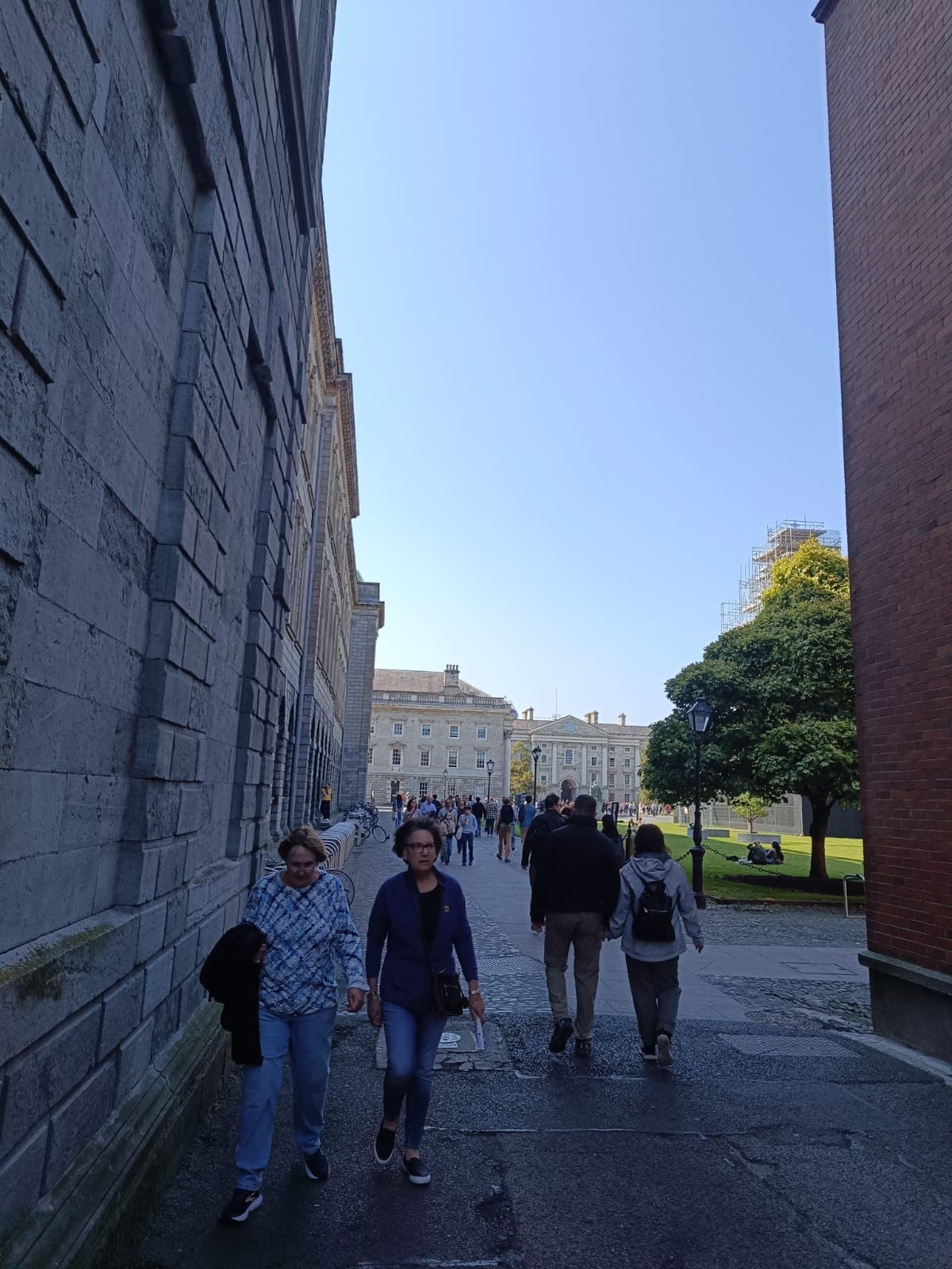 TRINITY COLLEGE DUBLIN APPLICATION DEADLINE 2026 visual data 3